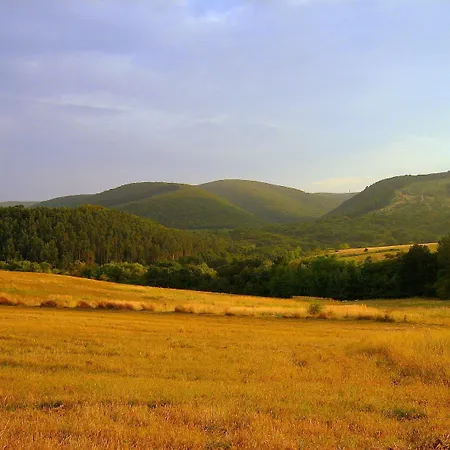 Рівненська область 